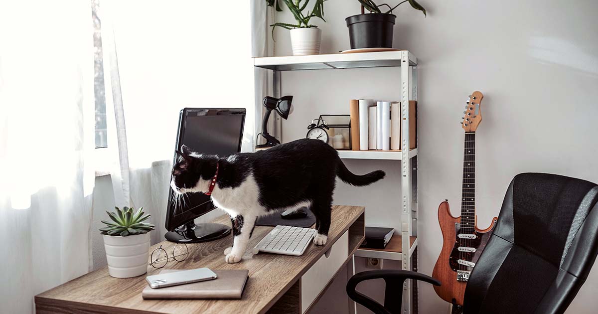 Crie um Home Office dos Sonhos: Dicas para um Espaço Produtivo e Inspirador