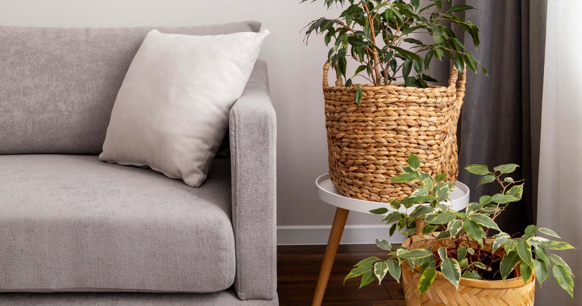 As Novidades da Decoração em 2024: Um Panorama Completo